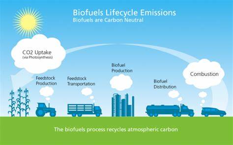 Biofuels-Lifecycle (from 2G ethanol Blogpost)