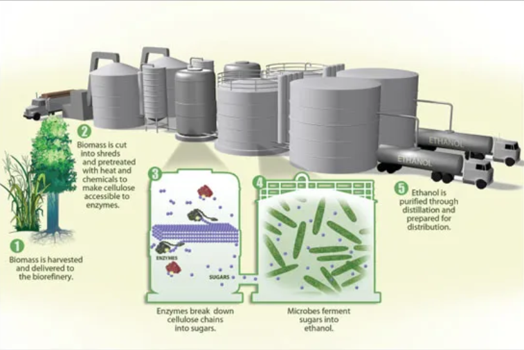 Process of Bioethanol Production
