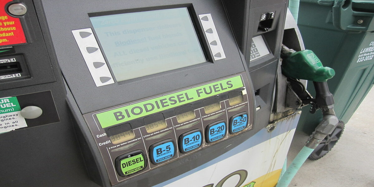 Biodiesel - different types