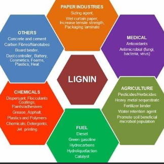 Image showing the versatility of lignin valorization