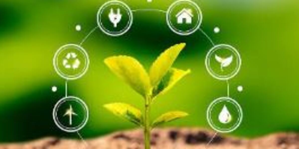 Clean Energy: The Long-Term Solution to India’s Air Crisis