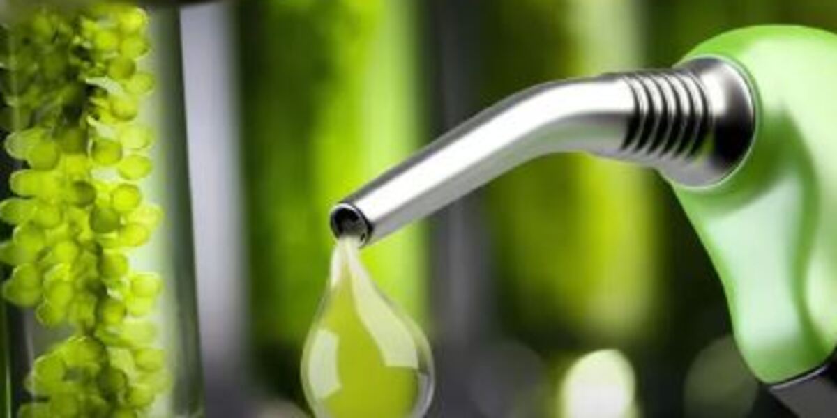 Delhi’s Winter Smog: How Farm Fires Add to the Crisis