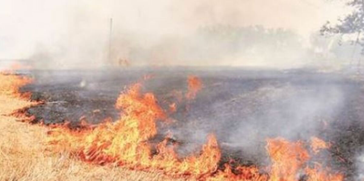 From Burning Fields to Clean Fuel: How 2G Ethanol Can End Stubble Burning and Clear India’s Air